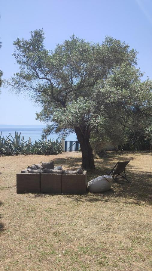 Casa Natura Amoliani Bagian luar foto