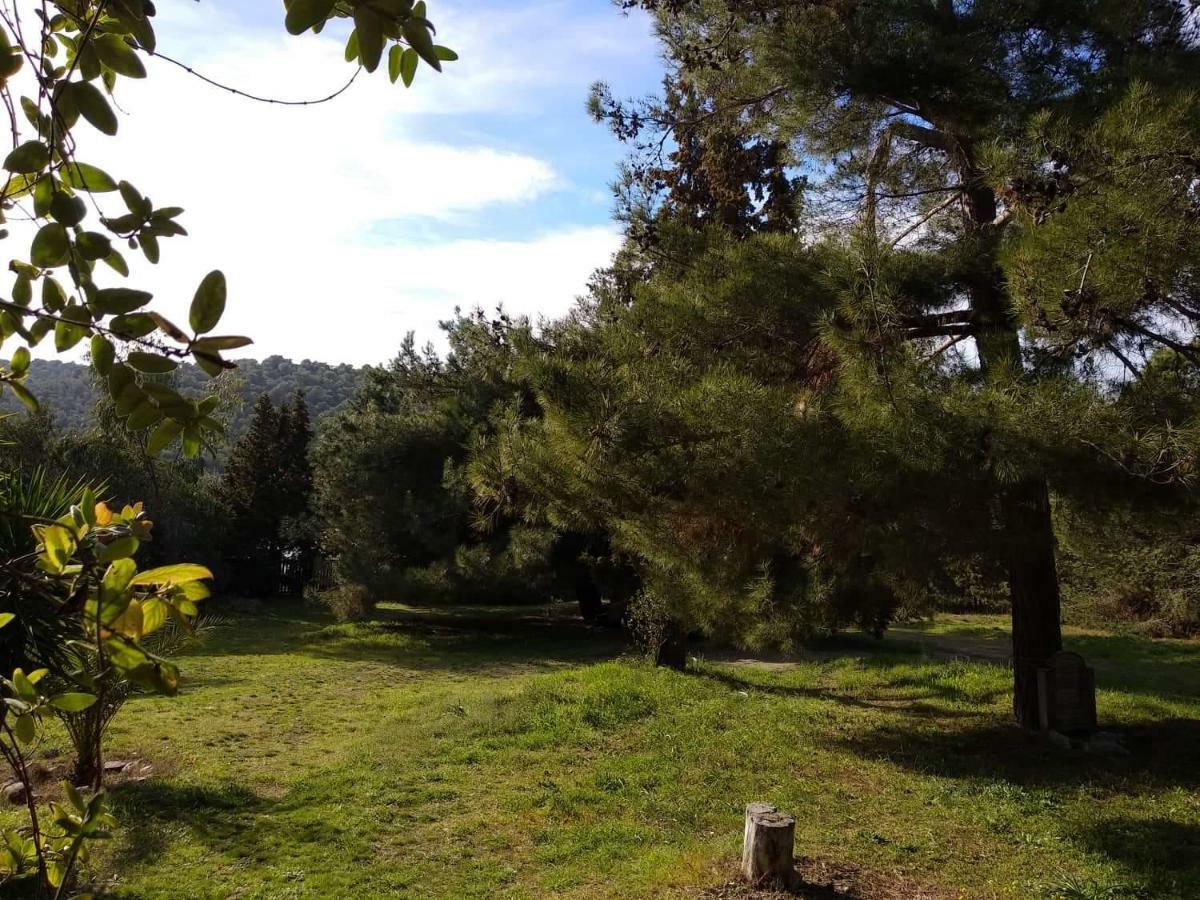 Casa Natura Amoliani Bagian luar foto