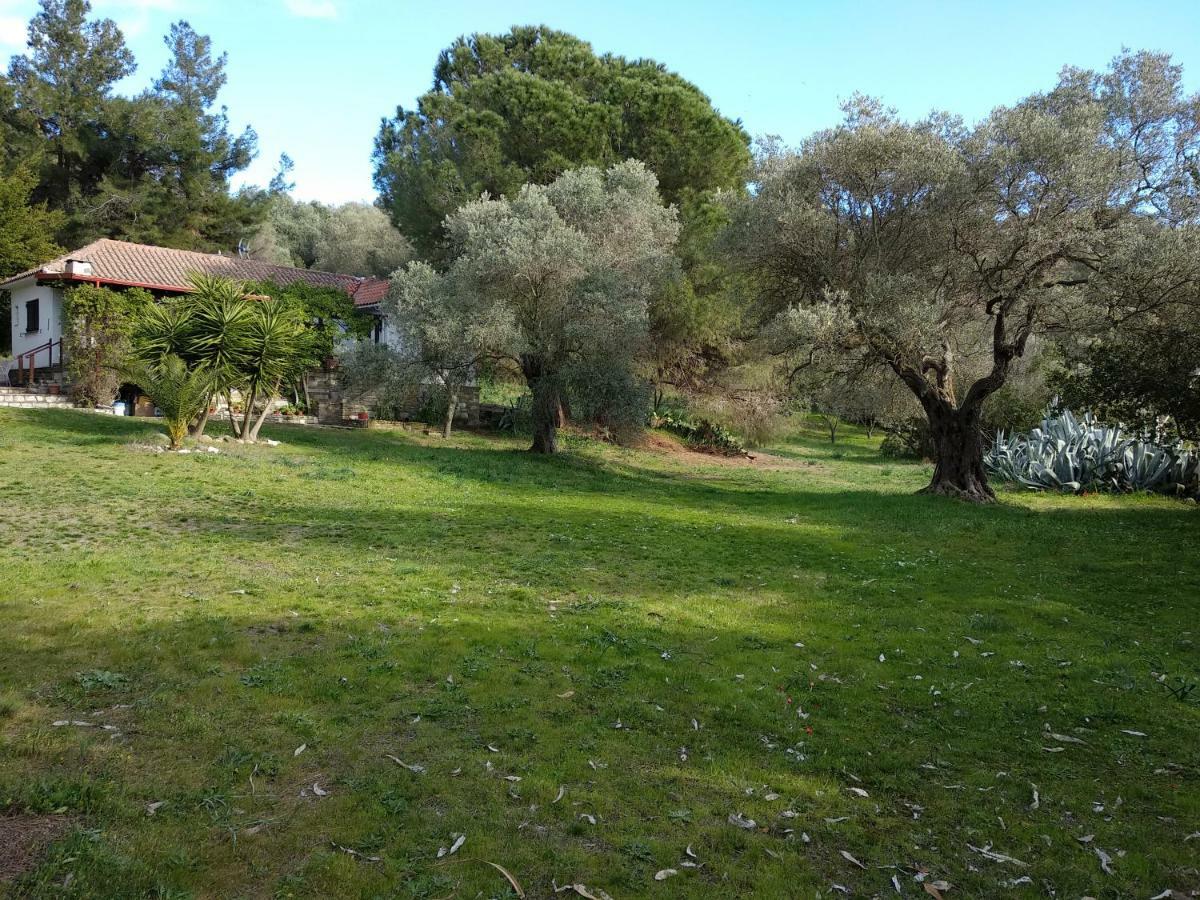 Casa Natura Amoliani Bagian luar foto